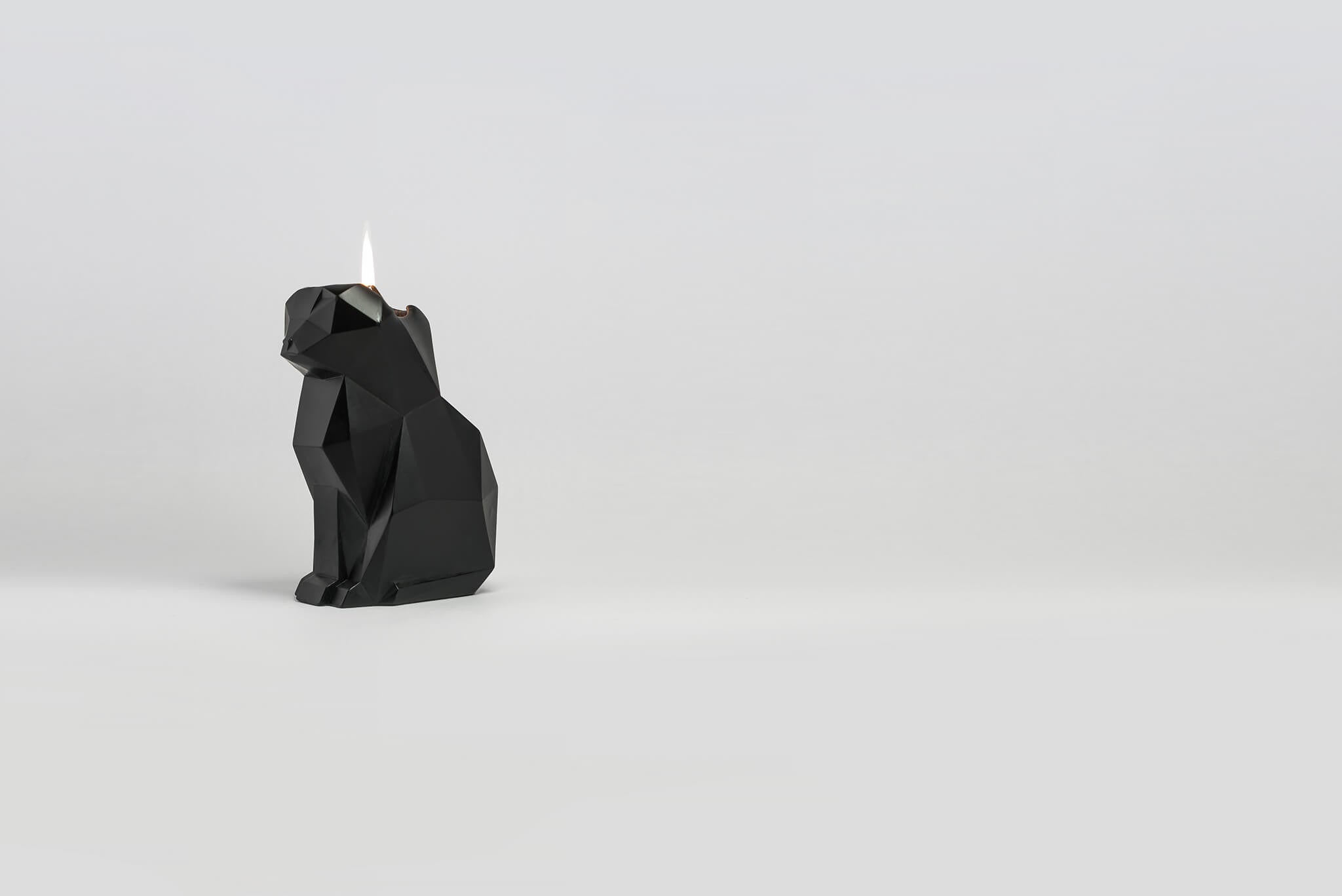 Melting black cat shaped candle has a secret skeleton to reveal after she is burned. 
